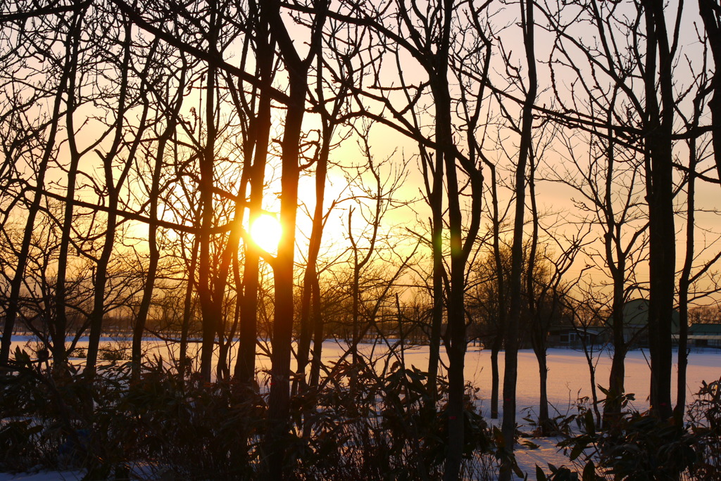 sunset
