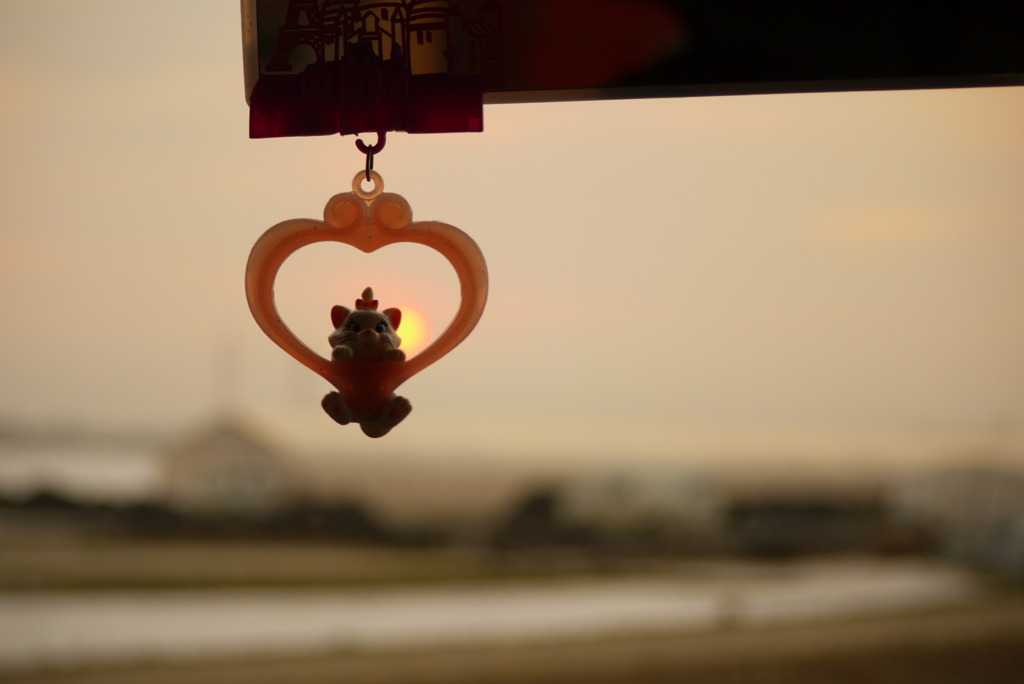 マリーちゃんと夕焼け