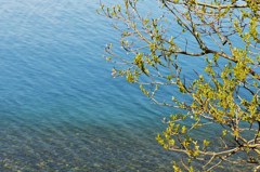 Blue&Green~