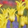 背の順に・・