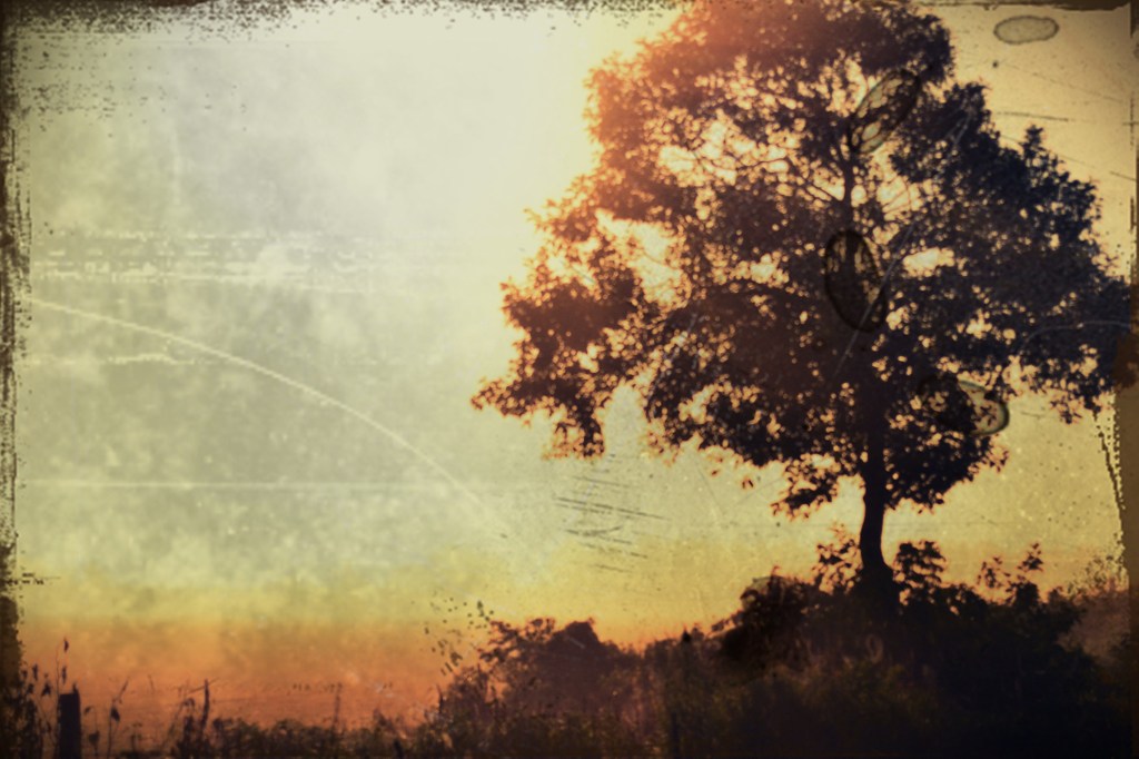 certain morning ... 