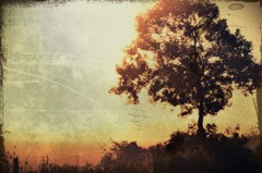 certain morning ... 