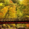 秋に掛る橋