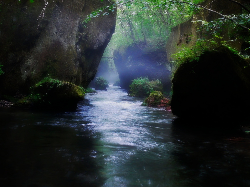 夏の日のGARO