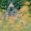 キバナのむこう