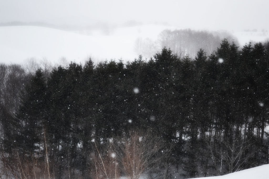 なごり雪