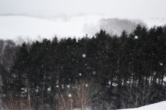 なごり雪