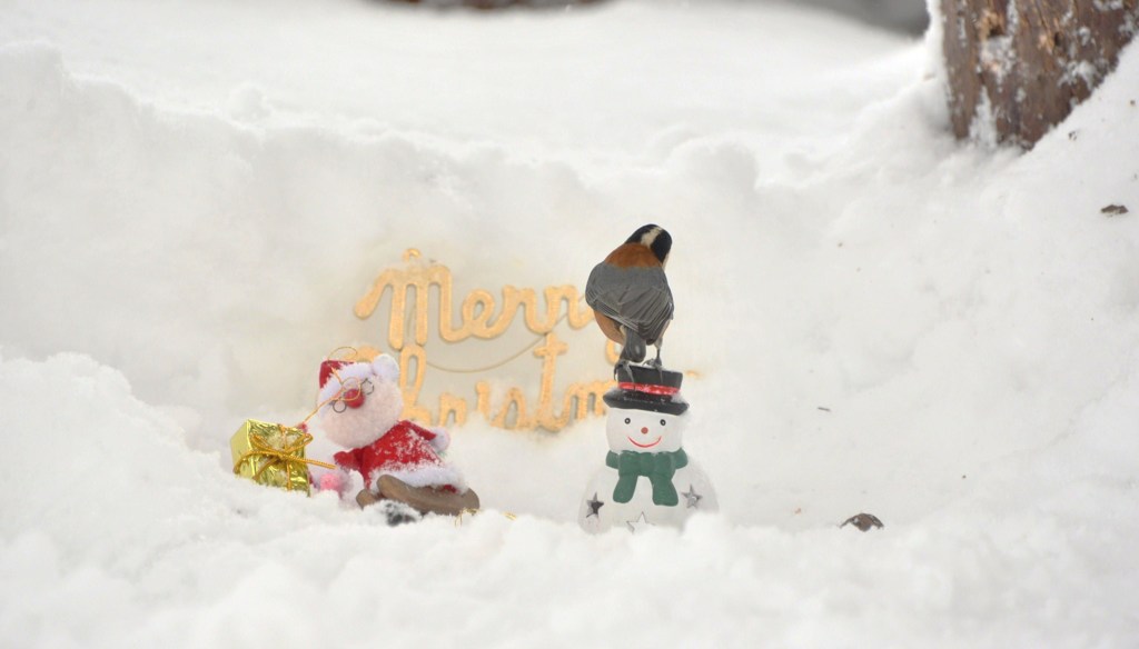 Ｘｍａｓって・・・？？