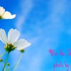 ♡in the Sky♡