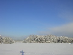 雪景色