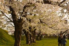 桜☆記念撮影