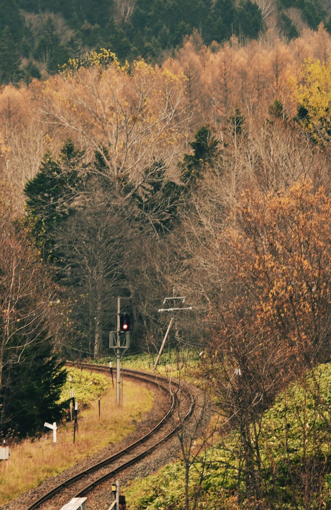 晩秋鉄道
