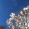 あなたに見せたい空がある・・