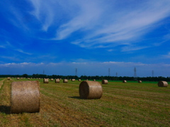 初夏を感じる風景