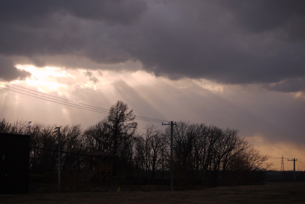 sunlight