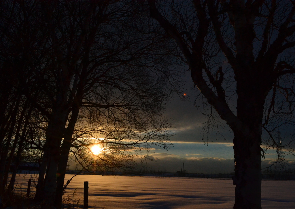 at dusk