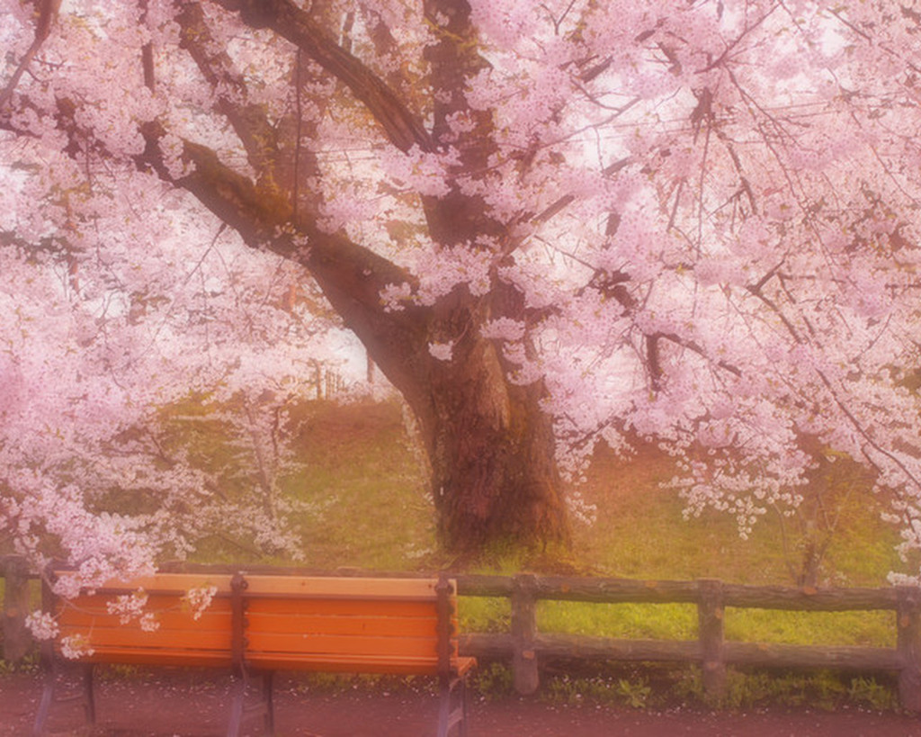 It will be there ･･･.