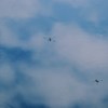 きっと、空も飛べるはず