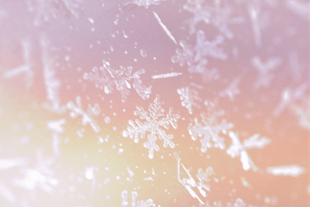 Snow crystal *