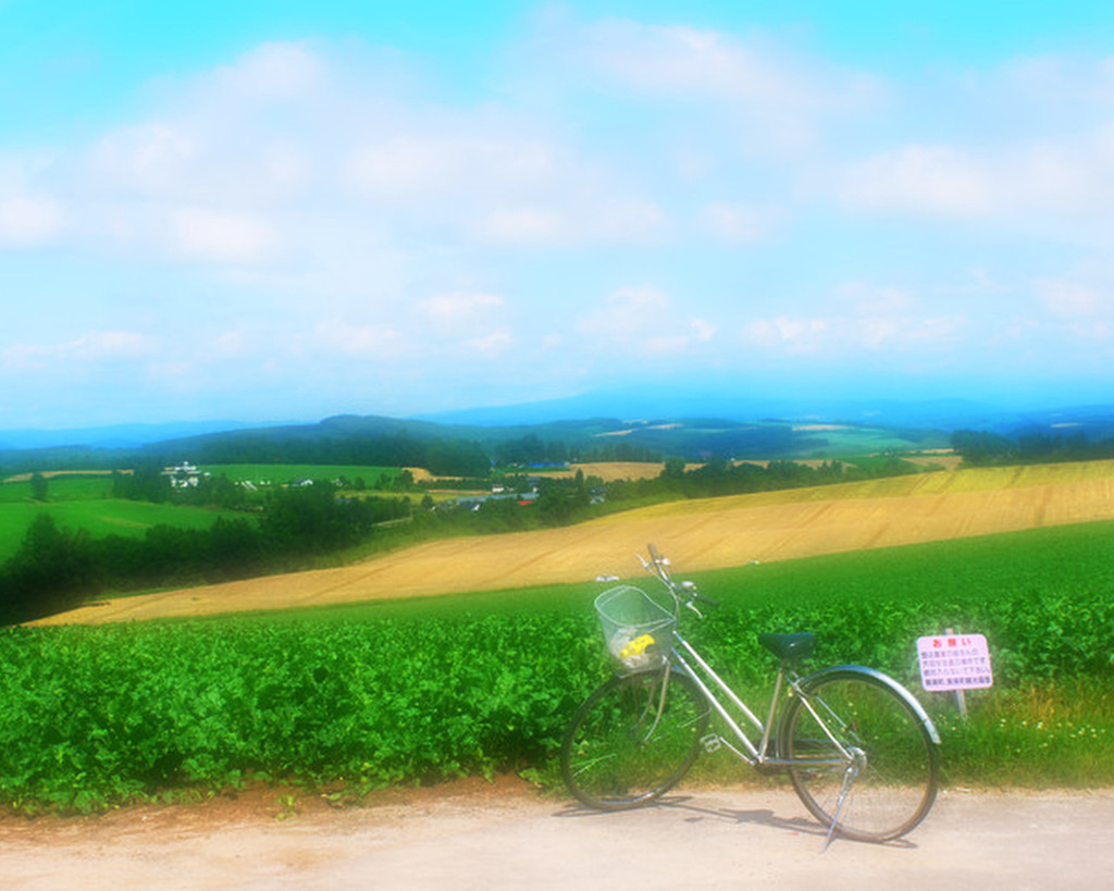 自転車に乗って