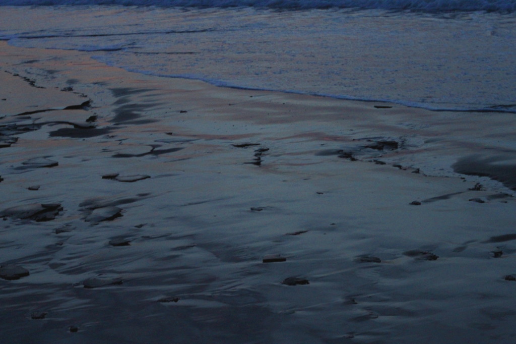 朝の浜辺
