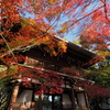 紅葉始まり