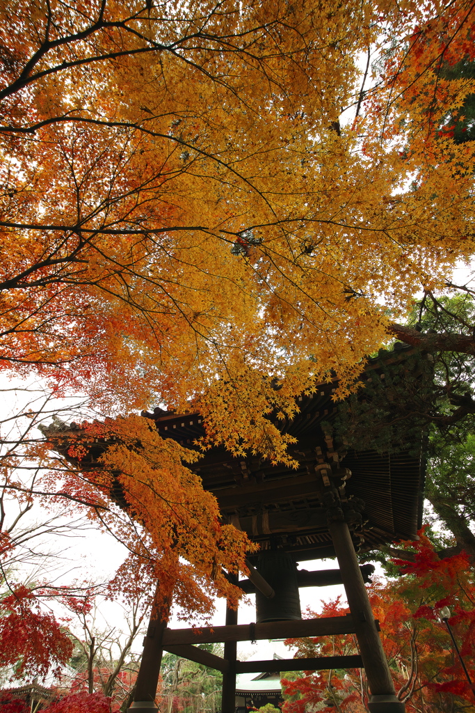 紅葉と鐘　弐