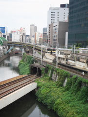 整列出来た瞬間