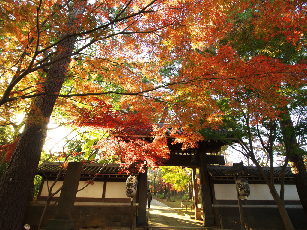紅葉の門