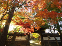 紅葉の門