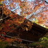 紅葉の色に染まった東禅寺