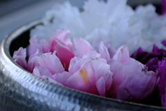 手水舎の花