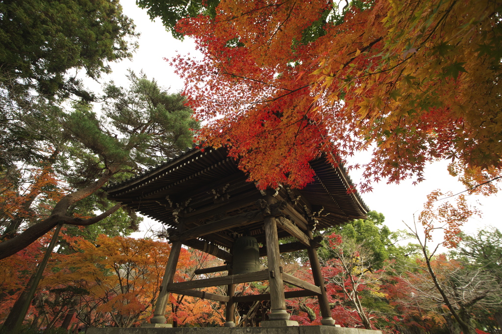 紅葉と鐘　参