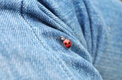 もうすぐ春ですね。