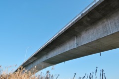 明日に架ける橋