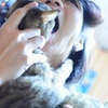 晩ご飯