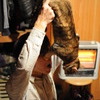 踏-tou-