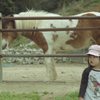 ちょと怖い