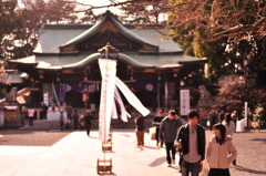 大宮八幡宮の春