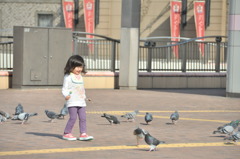 鳩遊び