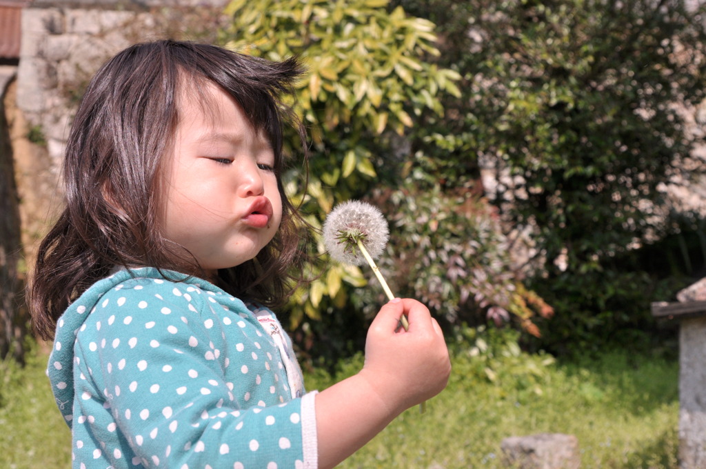 飛ばない。。。