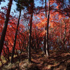 紅い山