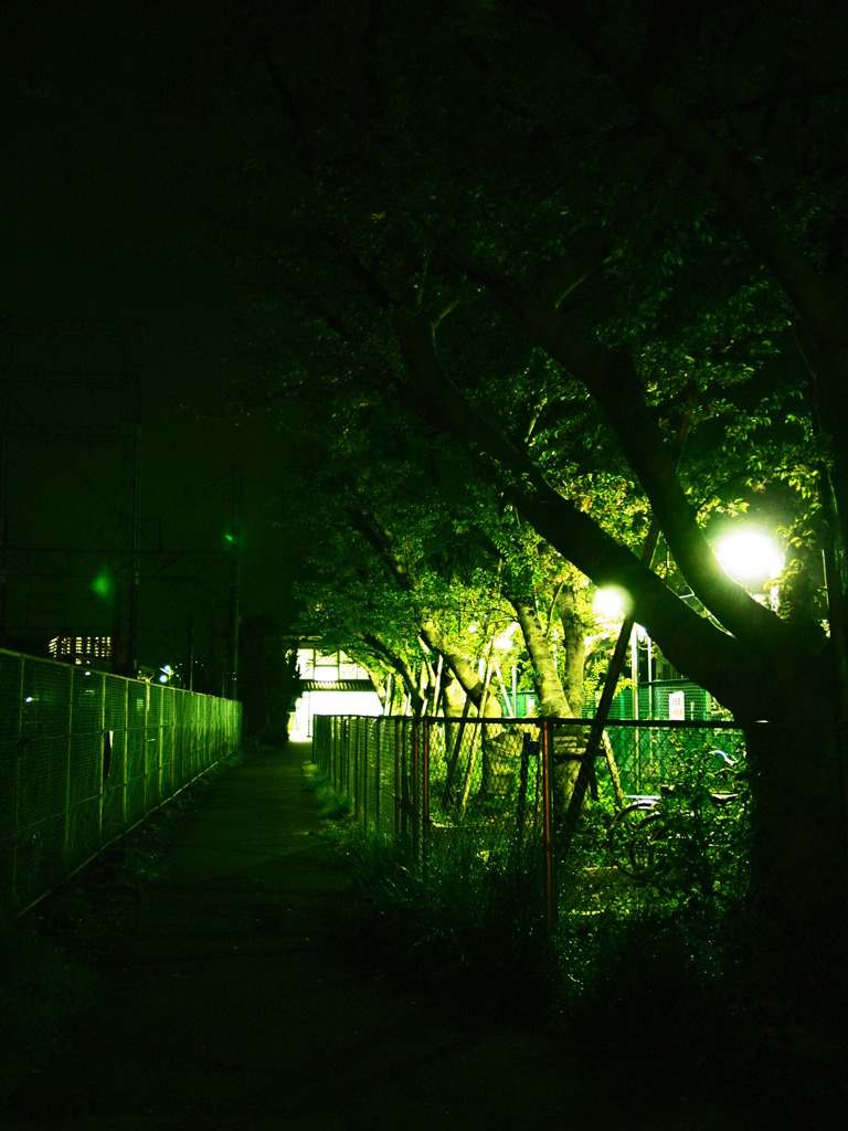 桜の樹の下には・・・