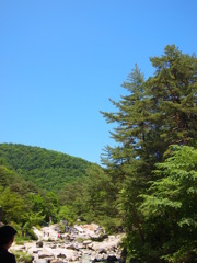 いい天気！