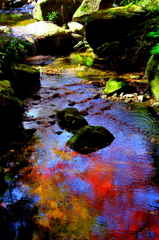 紅葉水面