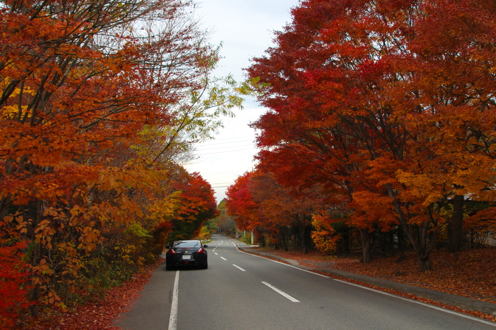 愛車と紅葉を観に