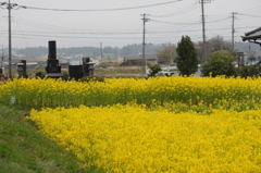 ナウシカでこんなシーンあったよね？