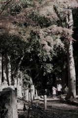 親子 de 散策