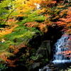 徳川庭の隠れ滝