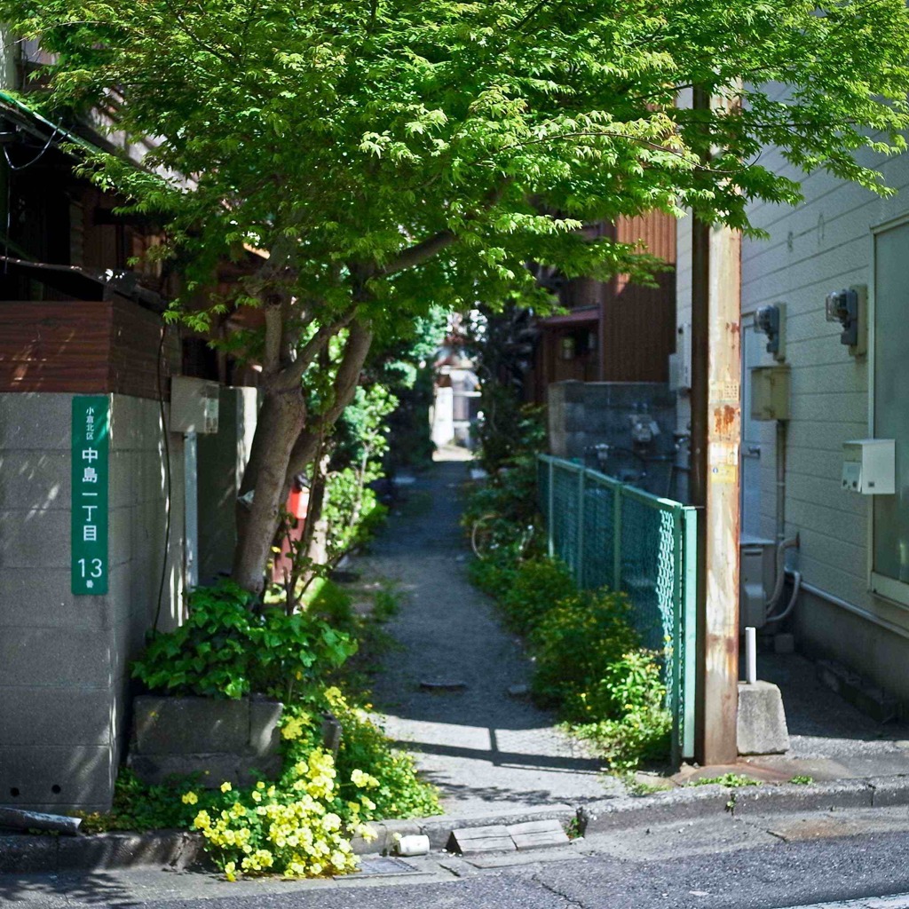 素敵な小道